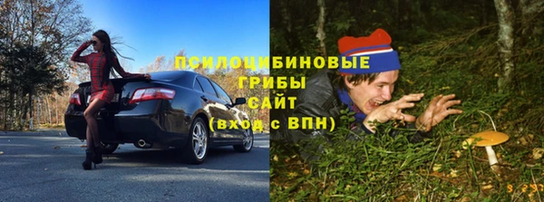 ПСИЛОЦИБИНОВЫЕ ГРИБЫ Бородино